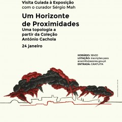 Visita Guiada à Exposição  com o curador Sérgio Mah Um Horizonte de Proximidades  Uma topologia a partir  da coleção António Cachola