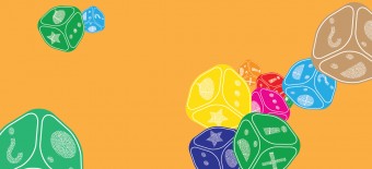 Dia Mundial do Livro Infantil | “Histórias ao Quadrado”