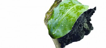 Tour–Workshop <br/> Matter in natural form