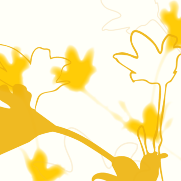 Último domingo do mês  Sombras que revelam luz