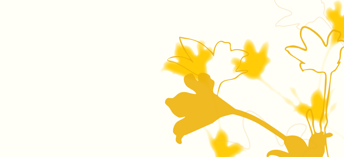 Último domingo do mês  Sombras que revelam luz