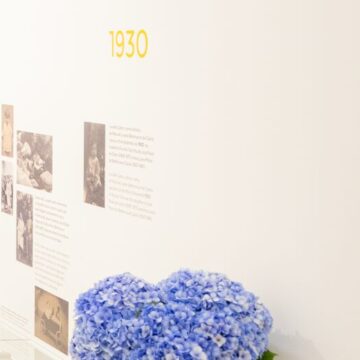 Ciclo de visitas guiadas