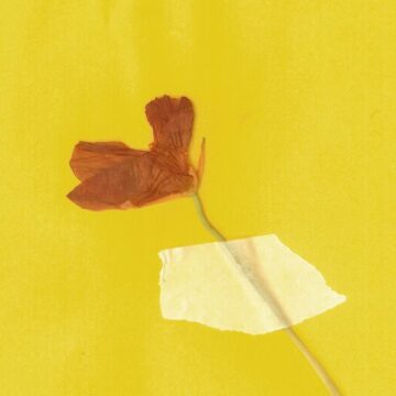 O que não está permanece?