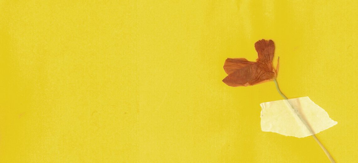 O que não está permanece?