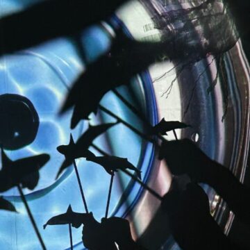 Vamos aprender Baleiês? com a Associação 432Hz