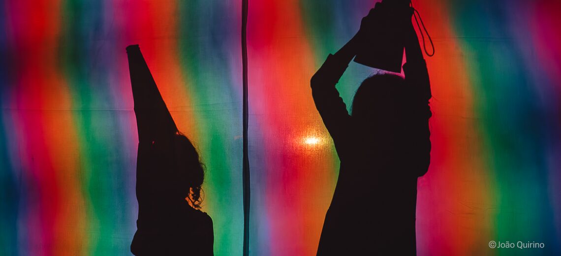 Escola dos Labirintos – Nova Criação de Osso coletivo