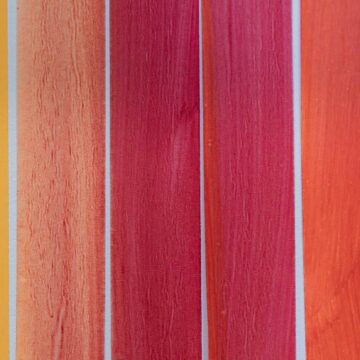 Fitas do Devir – Teresa Pereira