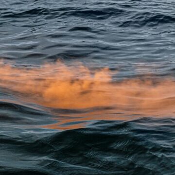 Previsão de Deriva – Márcio Vilela