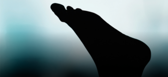 O Principezinho, de Mário Coelho